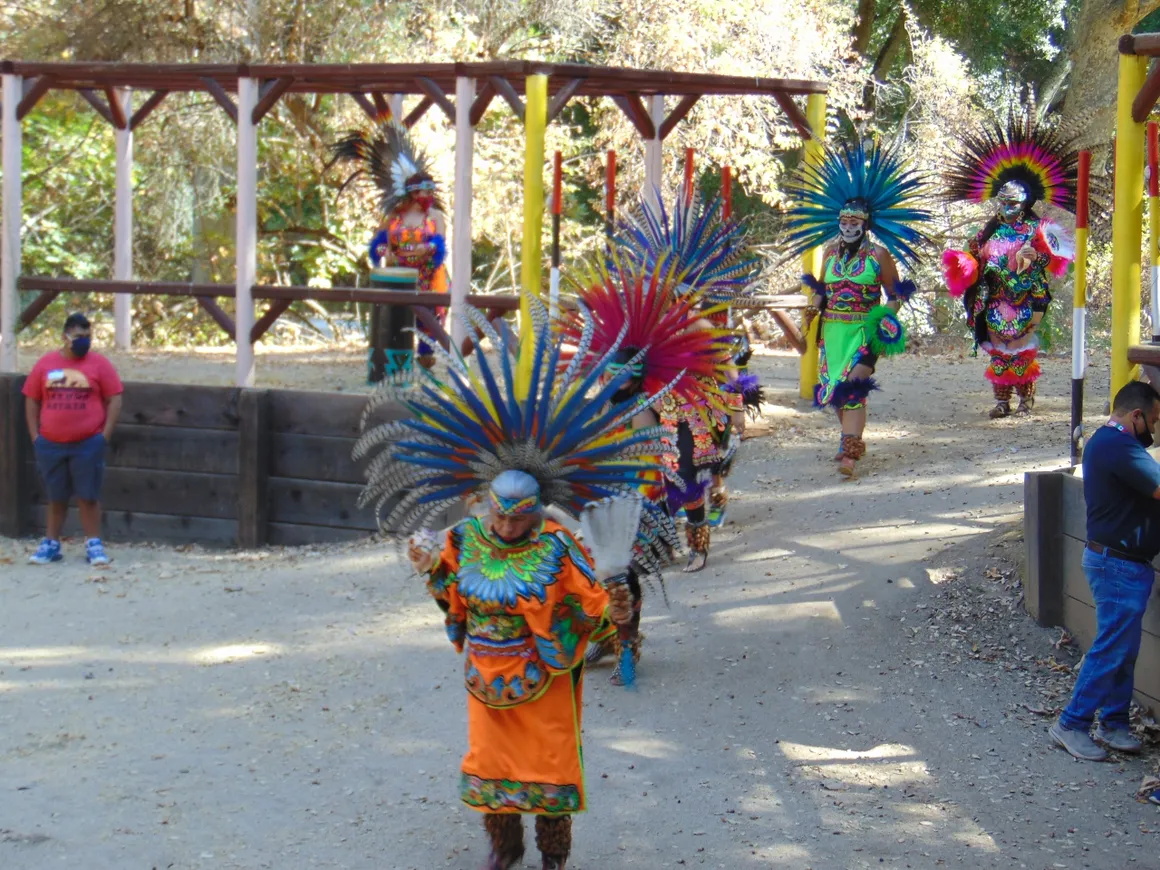 A group of people in colorful costumes walking down the street.